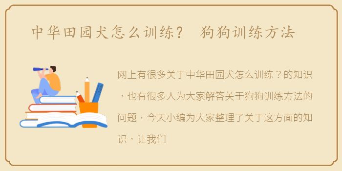 中华田园犬怎么训练？ 狗狗训练方法