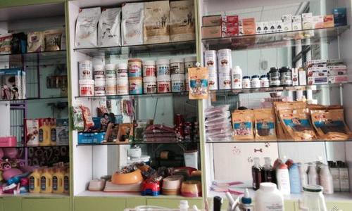 我想开一个宠物店需要多少钱？（开一个宠物店要多少万）