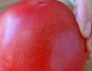 1把金针菇2个西红柿,教你做酸辣汤,酸辣鲜香,暖心又暖胃,解馋