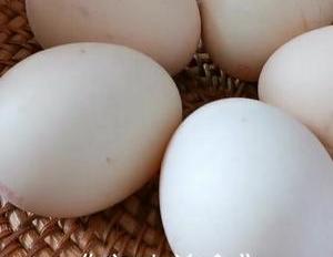 鸡蛋好吃的做法,不炒不煮不油炸,做法简单,一周吃5次都不腻