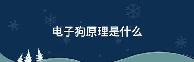 电子狗的工作原理？（电子狗原理）