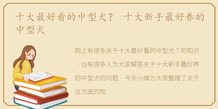 十大最好看的中型犬？ 十大新手最好养的中型犬