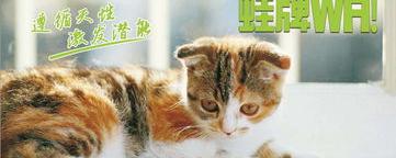 北京环球度假区有哪些动物馆？（环球宠物网）