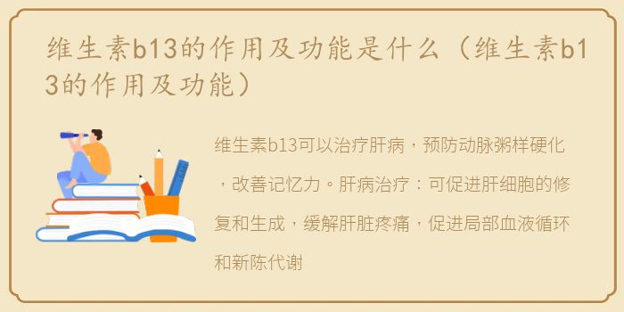 维生素b13的作用及功能是什么（维生素b13的作用及功能）