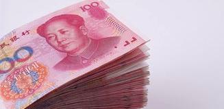 1000元以内的宠物狗 几百块钱和一千多的拉布拉多