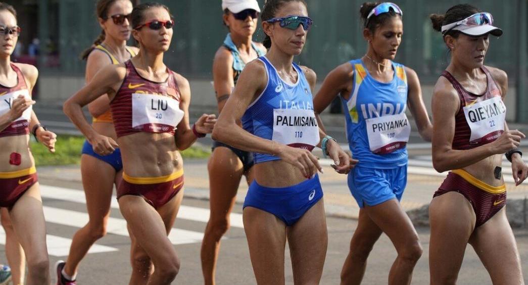 竞走规则图解（竞走规则）