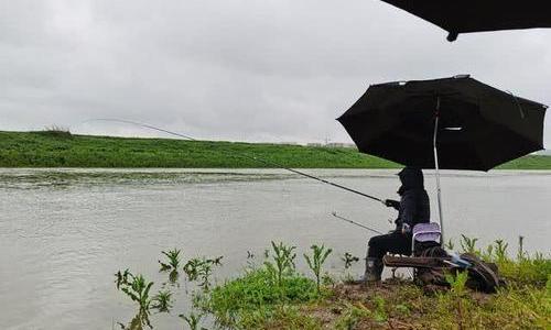 雨天钓鱼好钓吗_雨天钓鱼