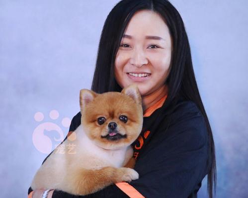 学宠物美容师要多久？（宠物美容师要学多久）