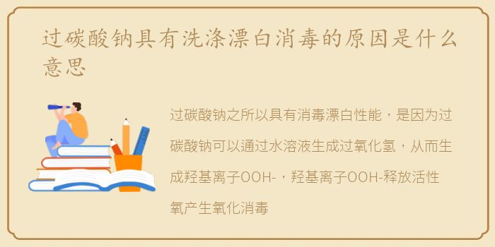 过碳酸钠具有洗涤漂白消毒的原因是什么意思