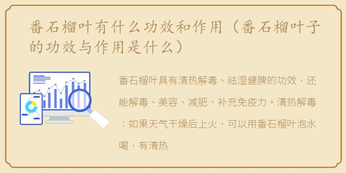 番石榴叶有什么功效和作用（番石榴叶子的功效与作用是什么）