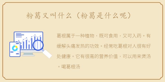 粉葛又叫什么（粉葛是什么呢）