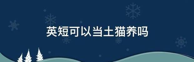 英短可以当土猫养吗（英短千万不能养）