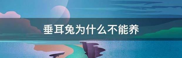 灰白垂耳兔好养吗？ 为什么不建议养垂耳兔
