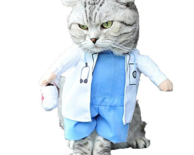 学宠物医生难吗？（宠物医生培训学校）