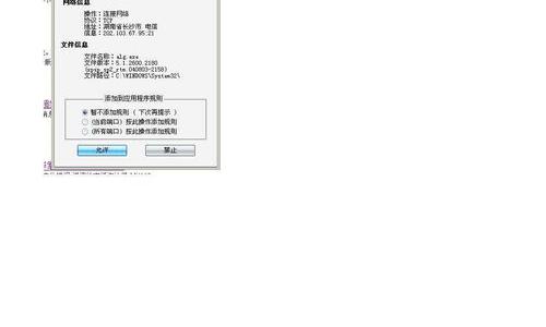 services.exe是什么进程？（alg.exe）