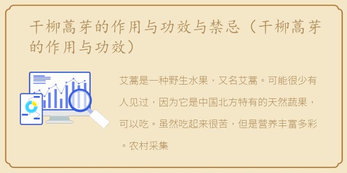 干柳蒿芽的作用与功效与禁忌（干柳蒿芽的作用与功效）
