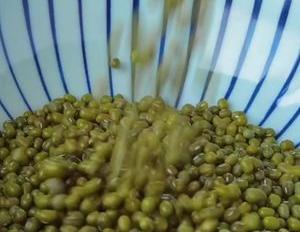 绿豆别直接煮着吃,教你新吃法,酥脆又松软,连挑食的宝宝都爱吃