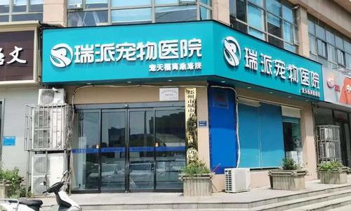 邯郸宠物医院排名？（24小时宠物医院在线咨询）