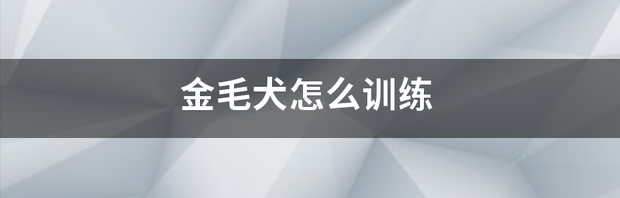训练金毛的十大技巧？（金毛犬怎么训练）