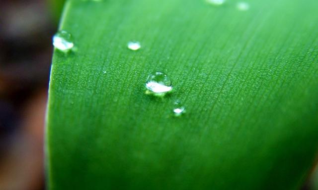 12348免费律师咨询热线？（12348离婚咨询）