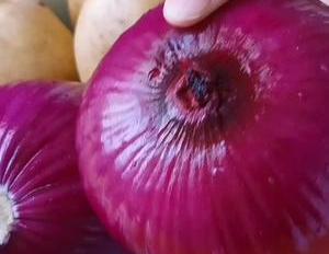 入冬后要多吃洋葱,加2个土豆,不炒不炖不凉拌,出锅瞬间被扫光