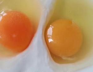 酸奶里打入2个鸡蛋,做出的蛋糕简直太好吃了,酸甜可口,真香