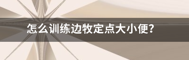 边牧怎么训练赶羊？ 边牧怎么训练大小便