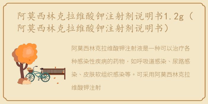 阿莫西林克拉维酸钾注射剂说明书1.2g（阿莫西林克拉维酸钾注射剂说明书）