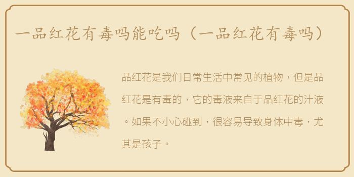 一品红花有毒吗能吃吗（一品红花有毒吗）