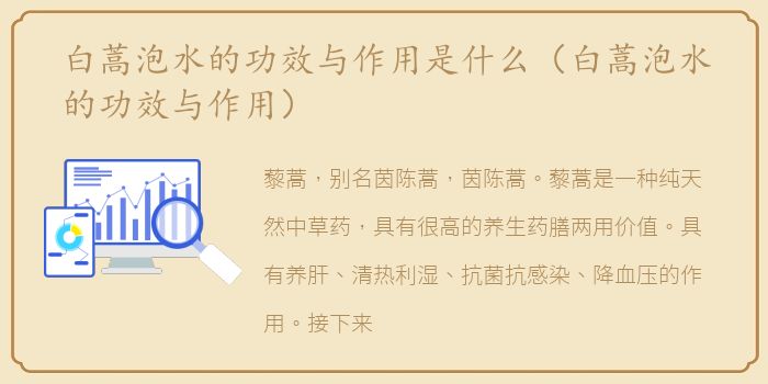 白蒿泡水的功效与作用是什么（白蒿泡水的功效与作用）