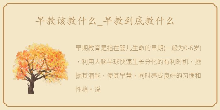 早教该教什么_早教到底教什么