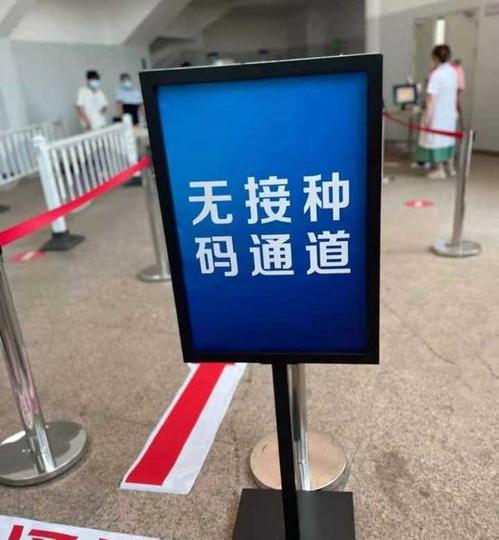 全国身份证查询系统带照片（身份证查询系统）