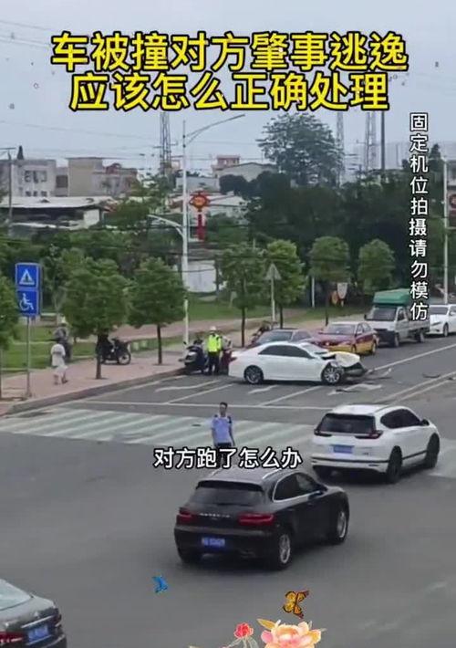 一般肇事逃逸怎么处理 一般肇事逃逸怎么处理