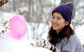 雪纳瑞犬的9大优缺点？（女生为什么不能养雪纳瑞）