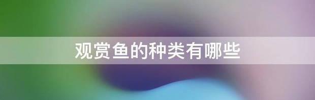 鱼的种类有几种，都是些什么鱼？（观赏鱼种类）
