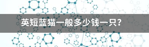 蓝猫3个月一只400贵吗？（蓝猫价格多少钱一只）
