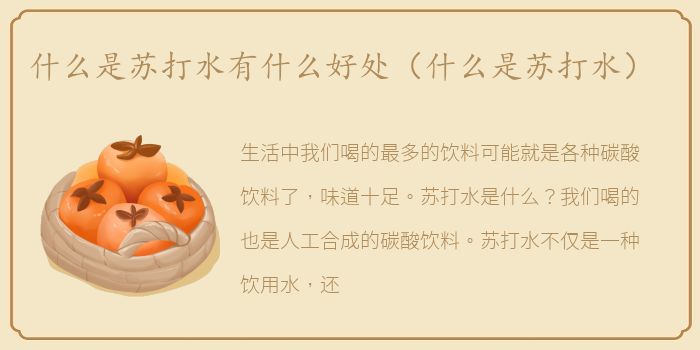 什么是苏打水有什么好处（什么是苏打水）