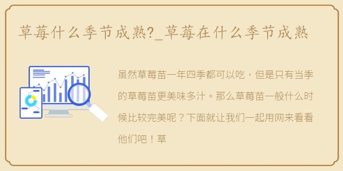 草莓什么季节成熟?_草莓在什么季节成熟