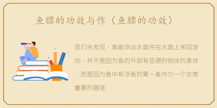 鱼膘的功效与作（鱼膘的功效）
