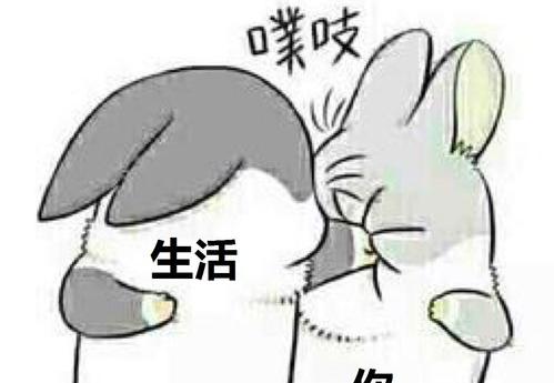 兔子很邪门 关于兔子很邪门的说法（老人都说兔子很邪门）