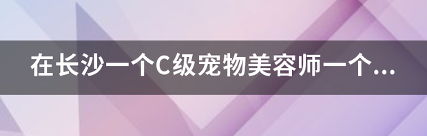 宠物美容师工资一般多少钱？ 宠物美容师多少钱一个月