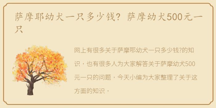 萨摩耶幼犬一只多少钱? 萨摩幼犬500元一只