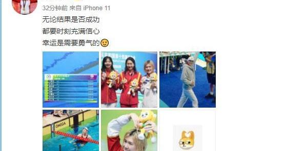 叶诗文奖牌（叶诗文银牌）