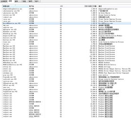 电脑物理内存占用高怎么办？（物理内存过高怎么办）