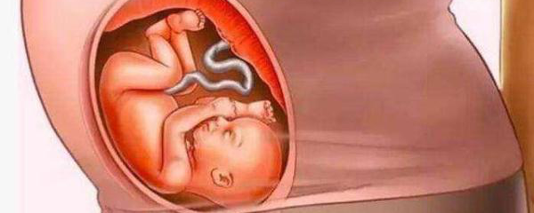 邹凯妻子孕照_邹凯晒B超照