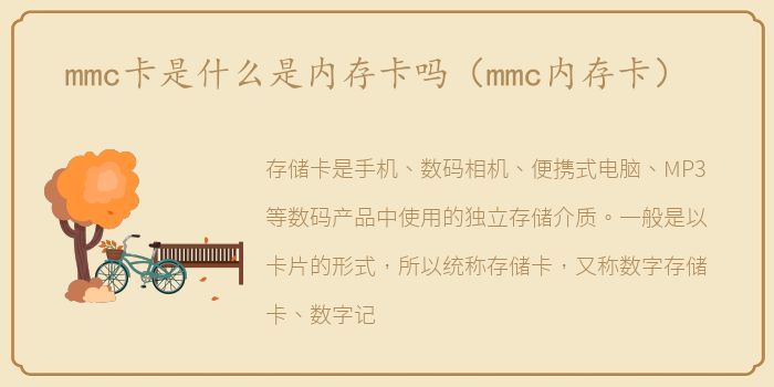 mmc卡是什么是内存卡吗（mmc内存卡）