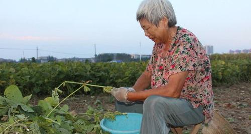 农民退休金正式规定是多少？ 农村满60岁养老多少钱一个月