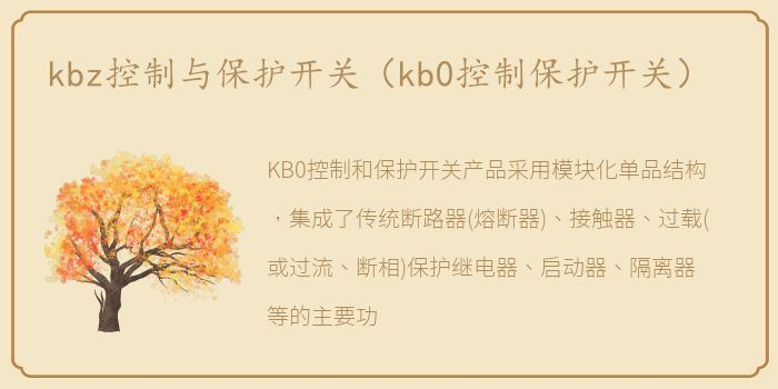 kbz控制与保护开关（kb0控制保护开关）
