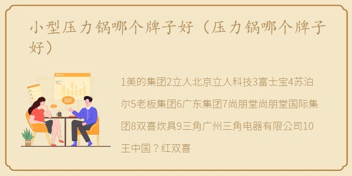 小型压力锅哪个牌子好（压力锅哪个牌子好）