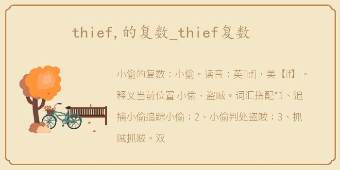 thief,的复数_thief复数